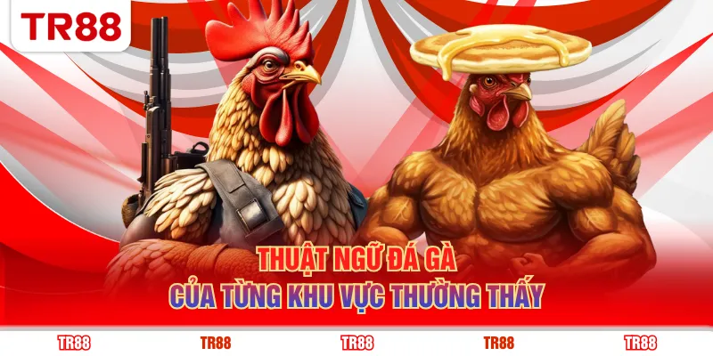 Thuật ngữ đá gà của từng khu vực thường thấy